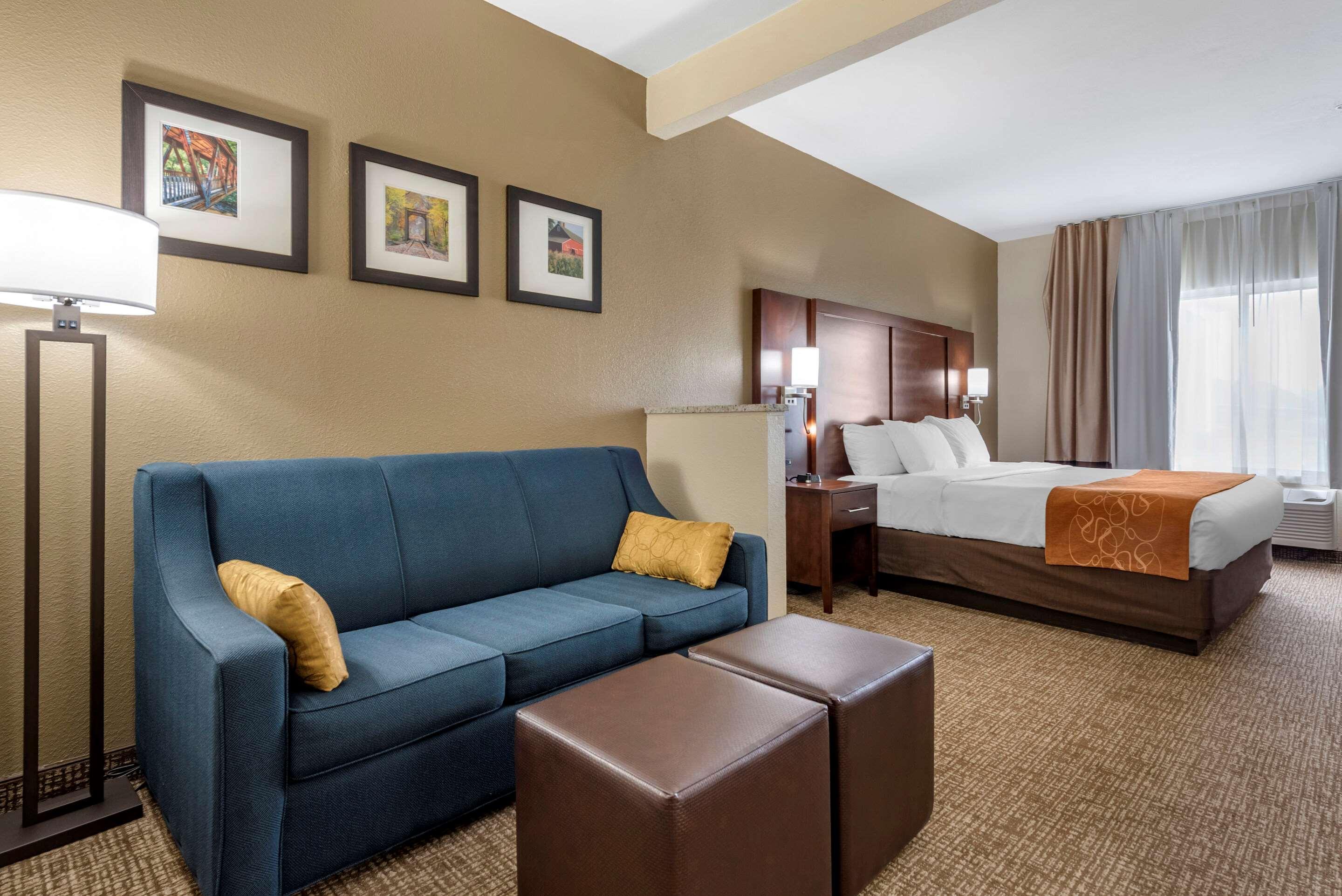 Comfort Suites Auburn Near I-69 Buitenkant foto
