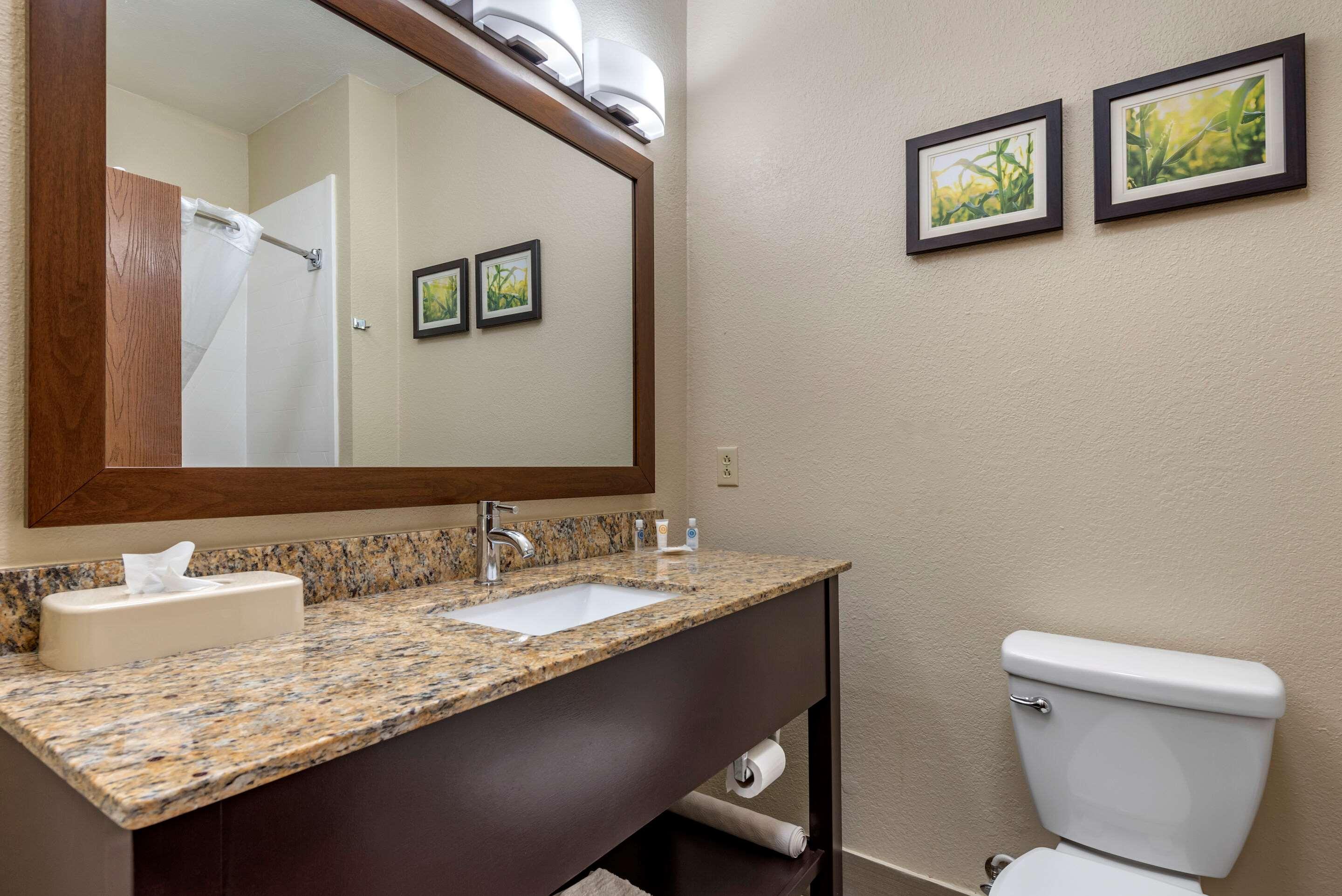 Comfort Suites Auburn Near I-69 Buitenkant foto