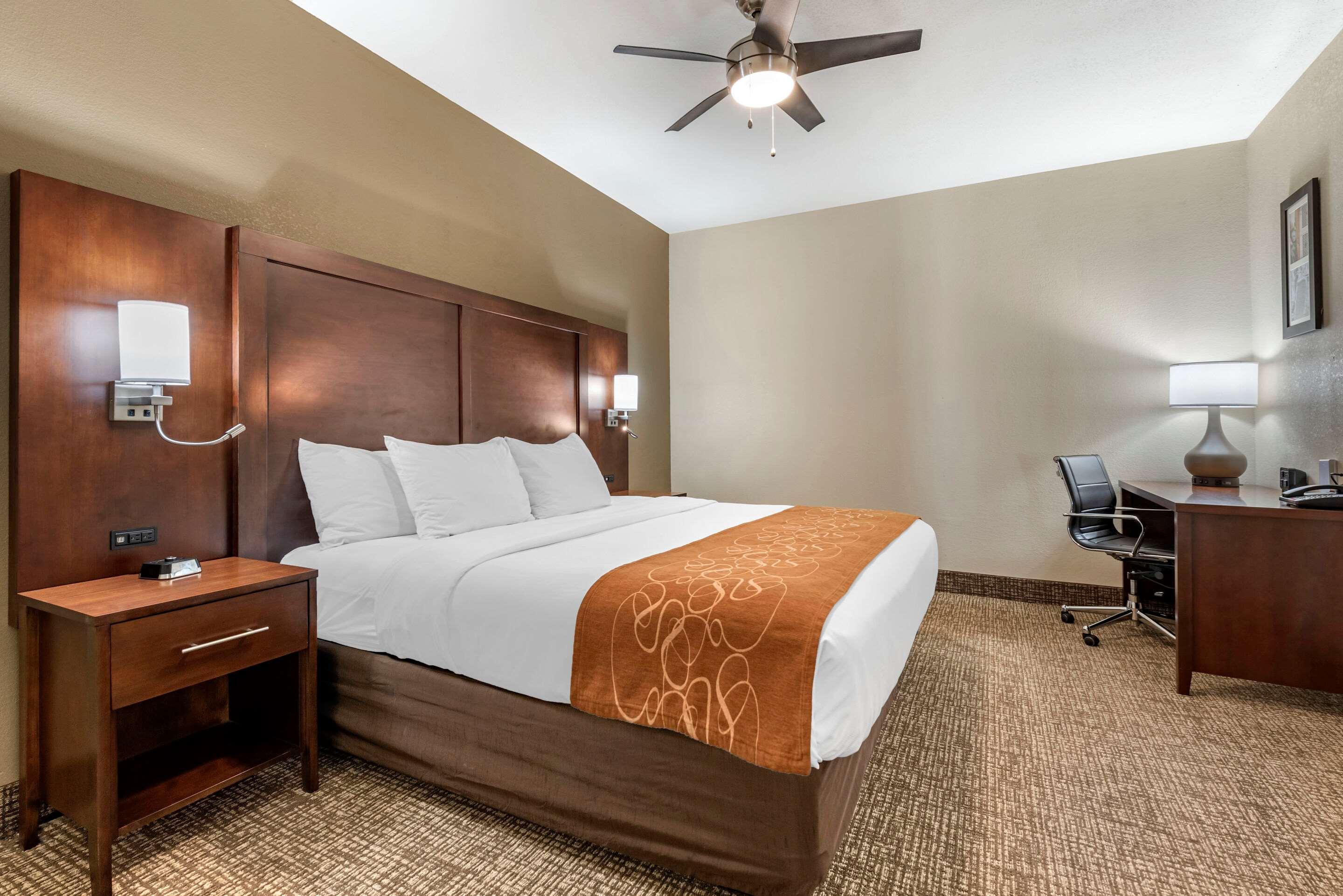 Comfort Suites Auburn Near I-69 Buitenkant foto