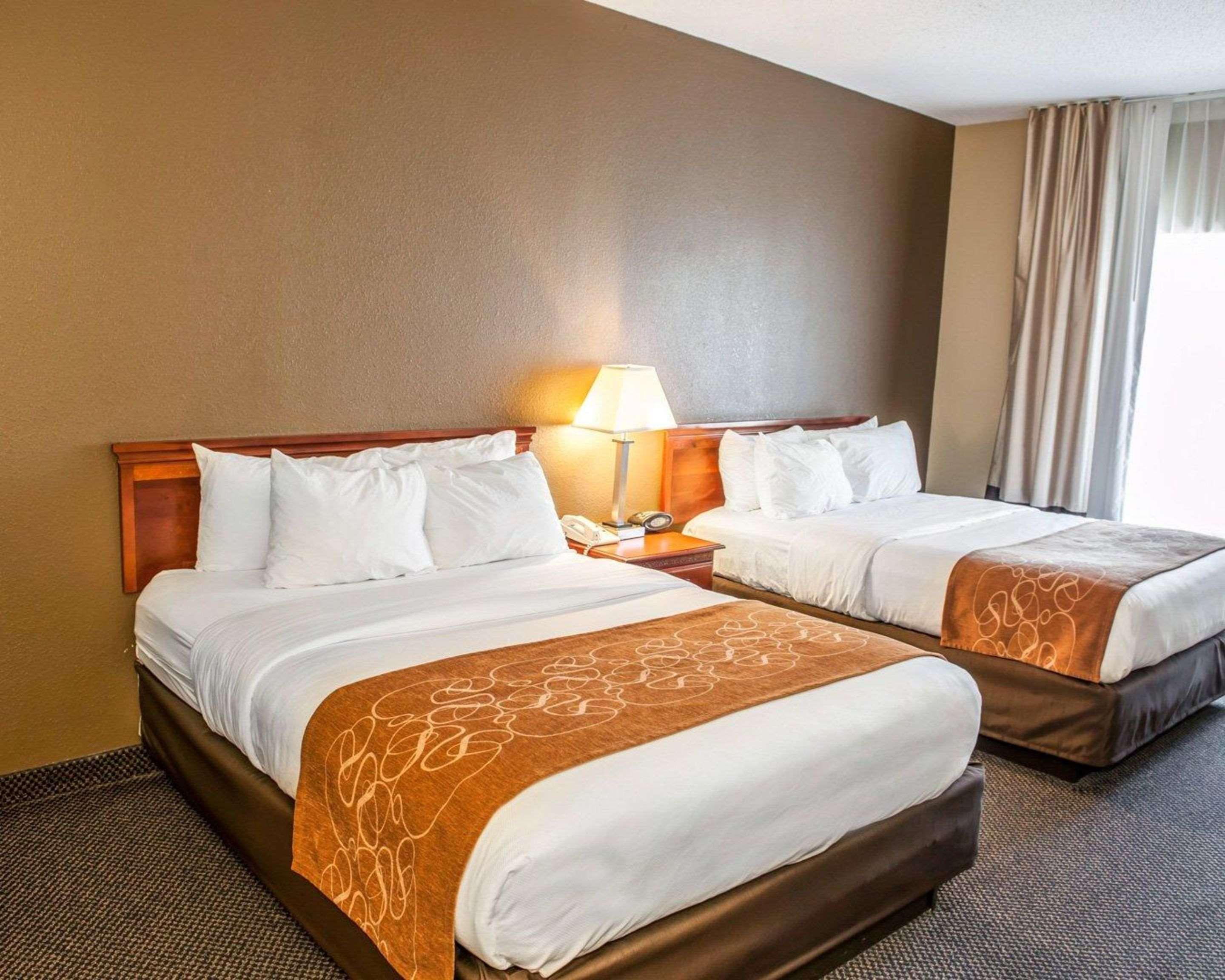 Comfort Suites Auburn Near I-69 Buitenkant foto