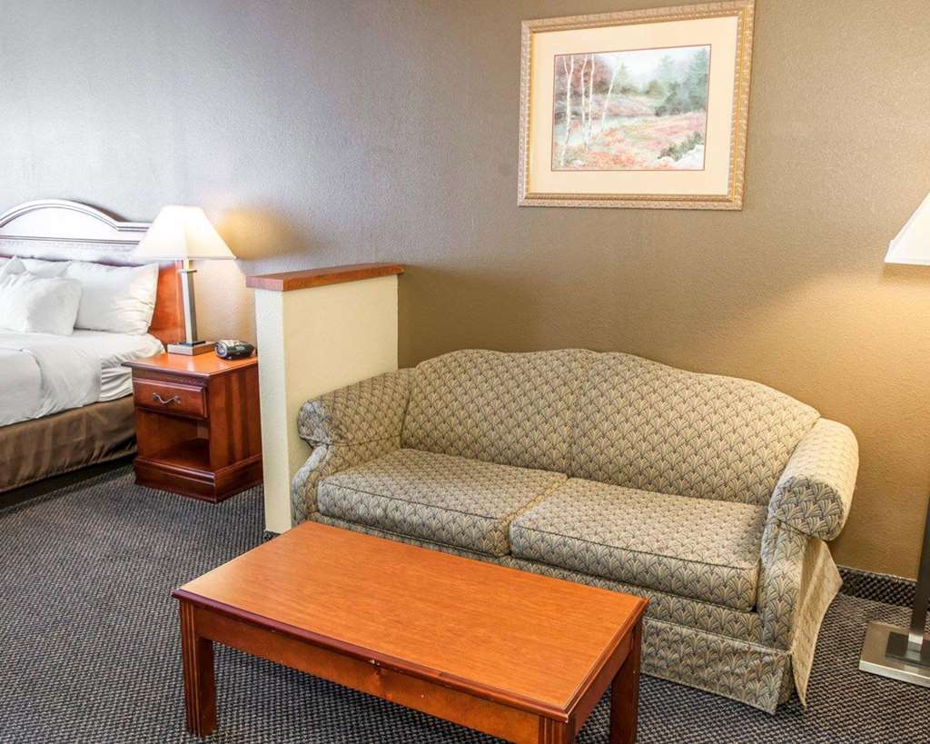 Comfort Suites Auburn Near I-69 Kamer foto